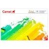 Camel Artist Soft Pastels 50 Shades