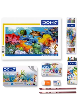 DOMS Art Strokes Kit (1)